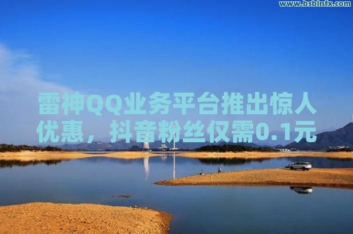 从抖音雷神代刷网到ks1赞自助下单,选择合适代购平台的指南