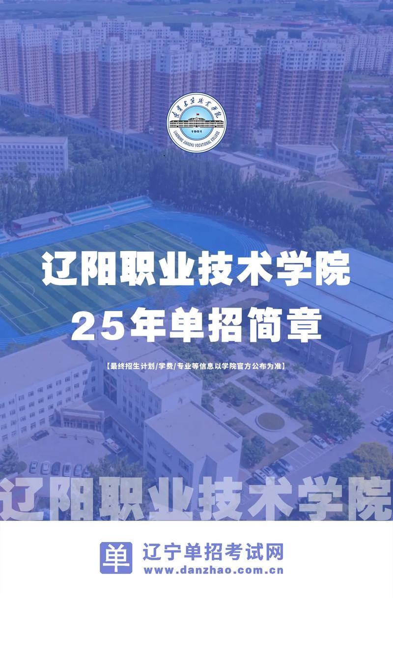 职业生涯,辽阳网络制作