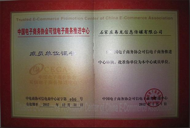 什么是易龙网络公司？