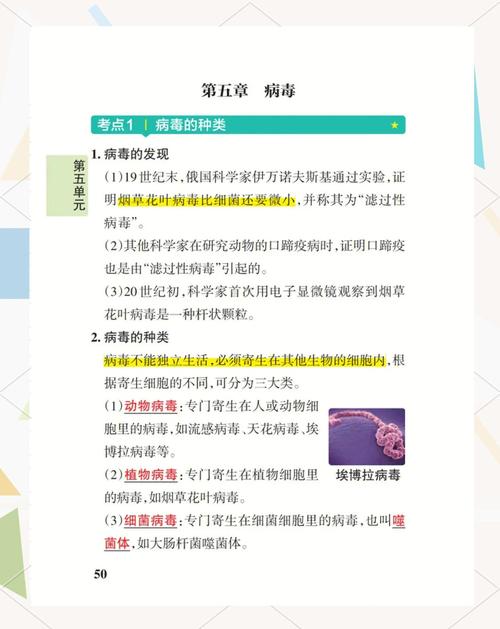 电脑病毒种类解析,从配置到防护