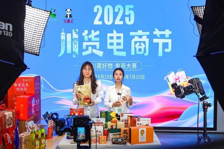 巴中网络公司，直播电商领域的佼佼者