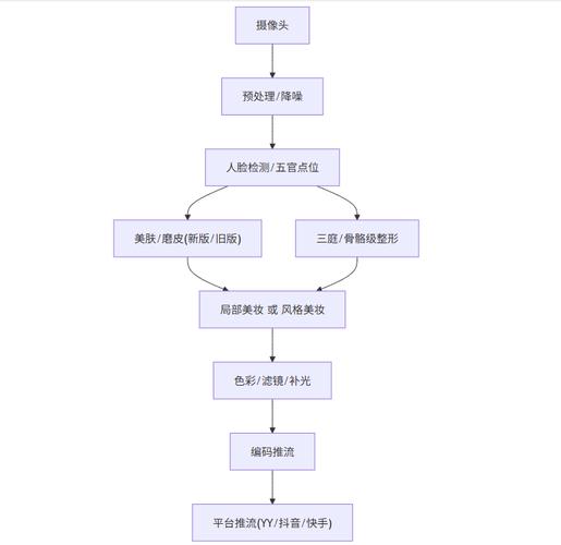 抖音刷双与快手秒刷,两者的策略与效果对比