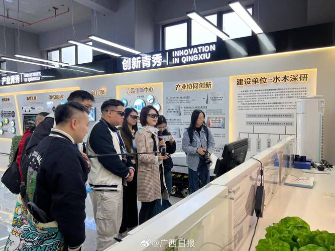 南宁网络开发公司,打造成功网络推广的全能型团队