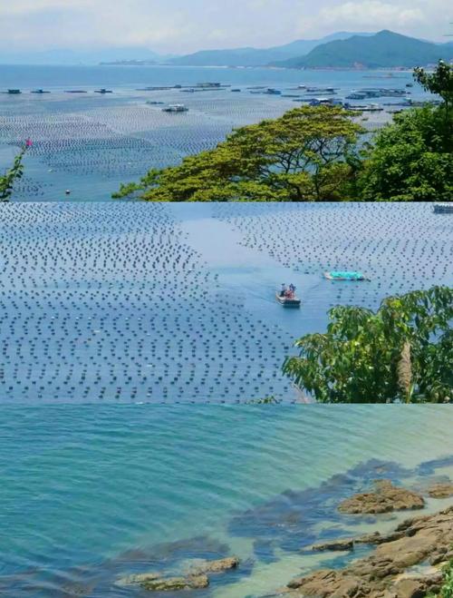 深圳小渔村疫情最新消息