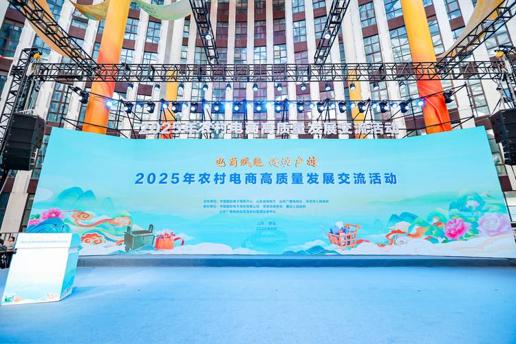 山东电商建设指南,助力数字经济发展