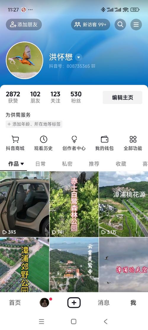 抖音刷出大量浏览量的潜力