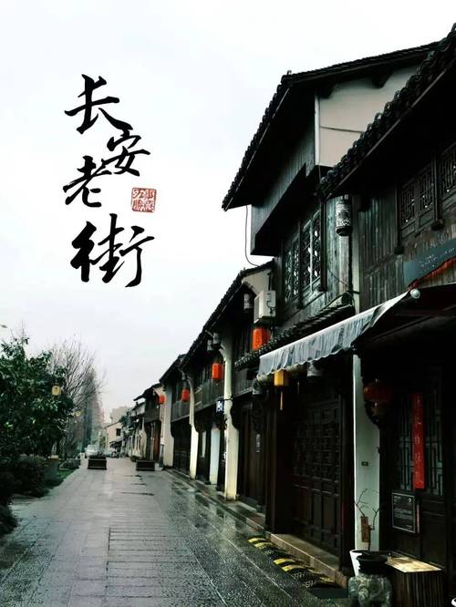 记述海宁的千年历史与现代发展,从城市到旅游 destination 走远吧!
