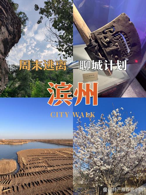 滨州旅游城市，打造智能旅游目的地的策略与方案