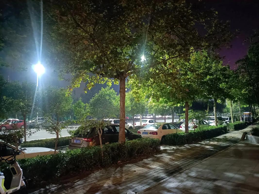 蒲城夜晚疫情最新消息