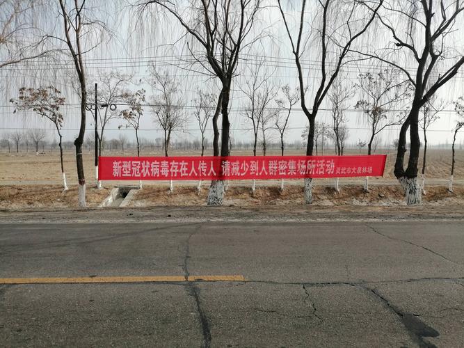 应县肺炎疫情最新动态，及时分享，助力防控