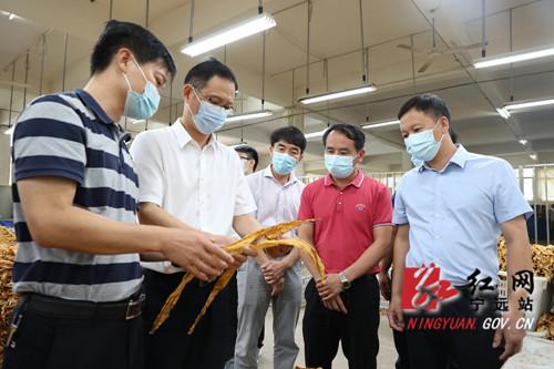 疫情前的播种,禾亭如何在疫情中保持专业与创新