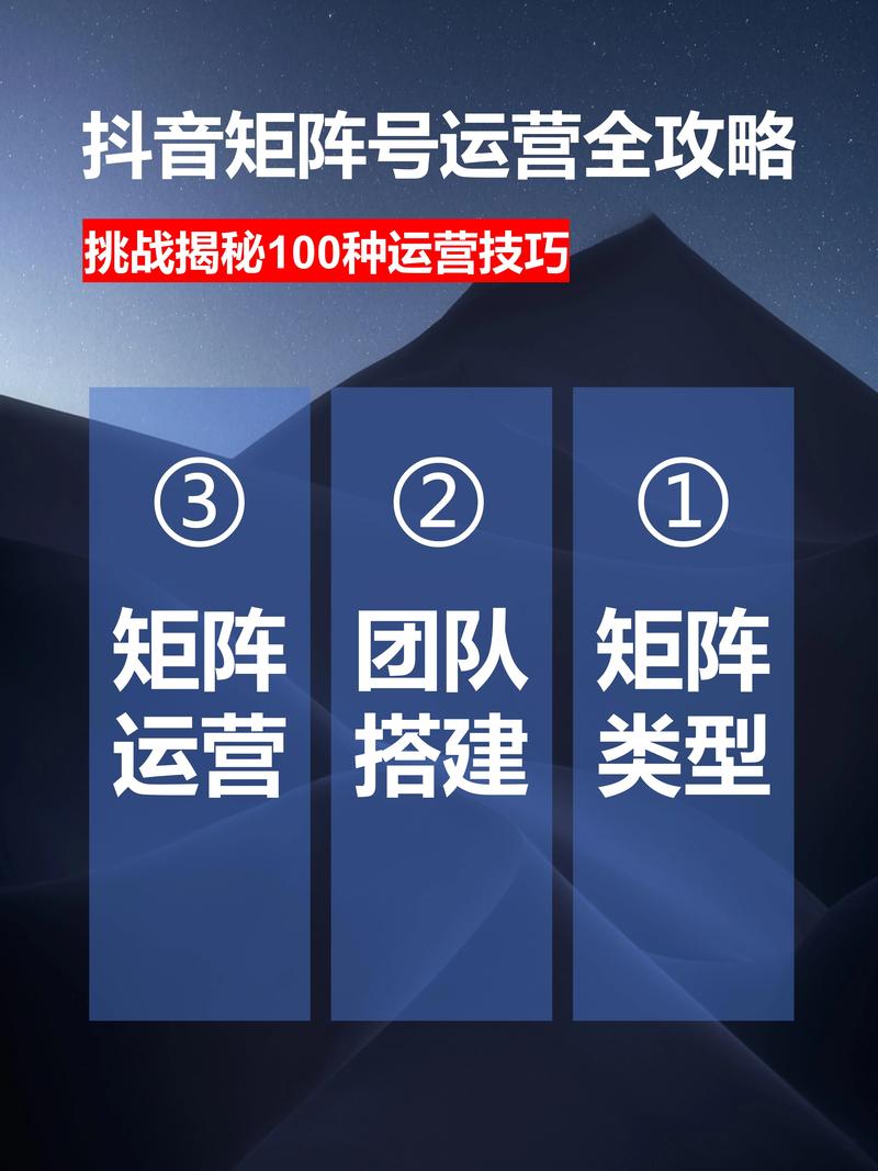抖音双击平台,助力您高效运营的高效选择