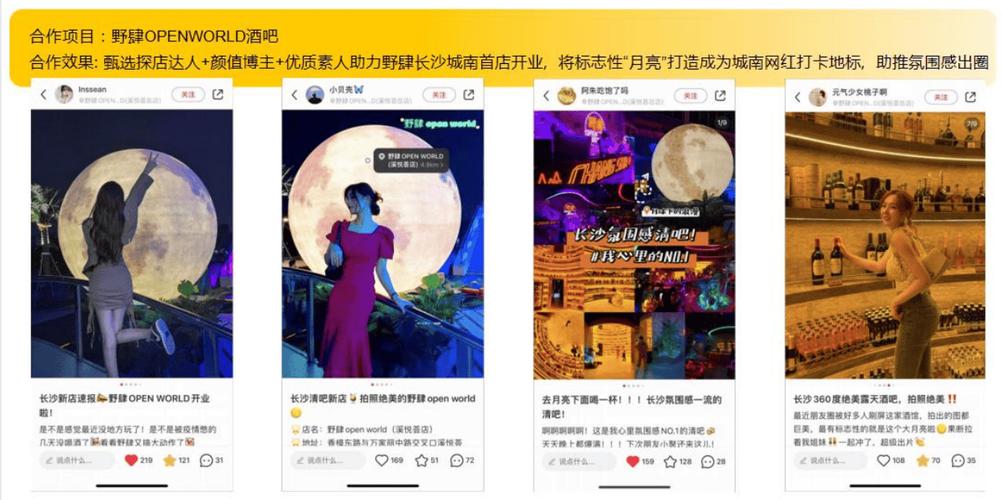 如何高效利用快手抖音双击播放与自助下单,提升视频发布效率
