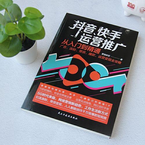 抖音刷量攻略,从创意到用户,Everything You Need to Know!