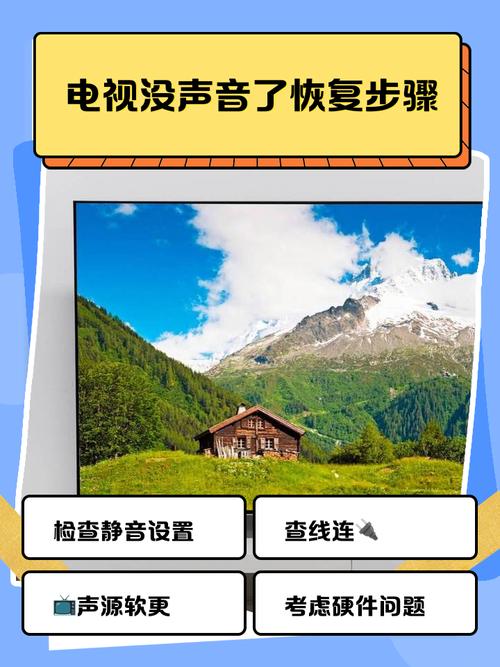 唯一的解,如何让抖音的播放器不再振动?解决播放器振动问题的全面解决方案)