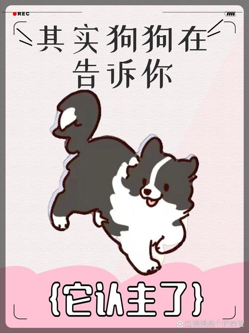网络,你为何想成为它的主人?