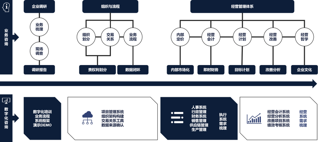 企业级网络解决方案，从需求分析到优化策略，提升效率与利润