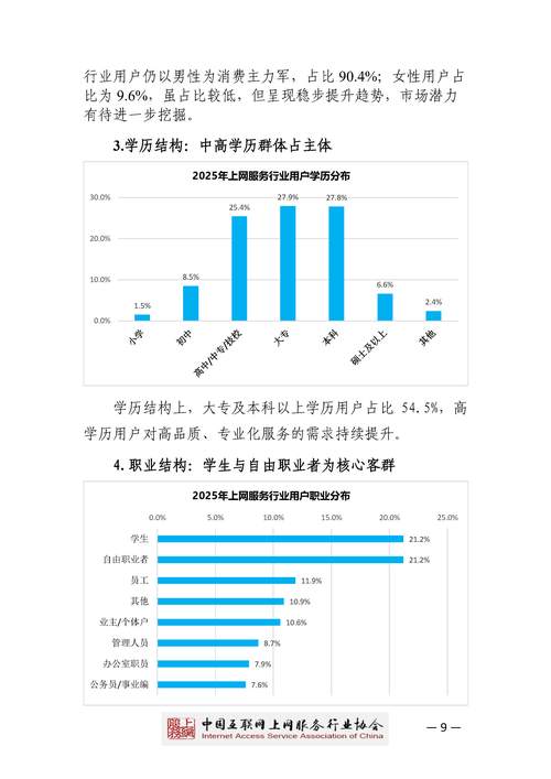 网络服务商，行业地位、专业领域与发展趋势