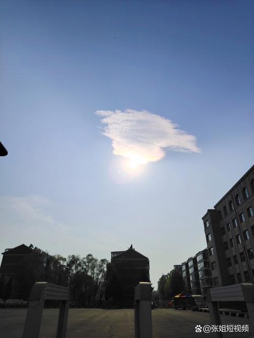 白莲坡,疫情中的一片晴空