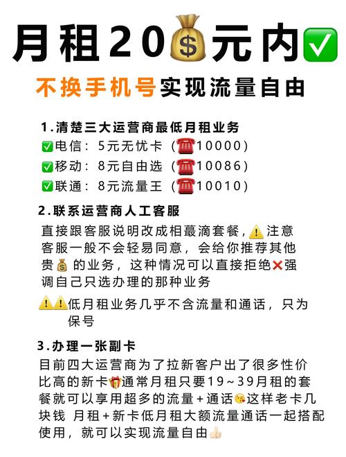 抖音流量代刷网，轻松获取流量的高效平台