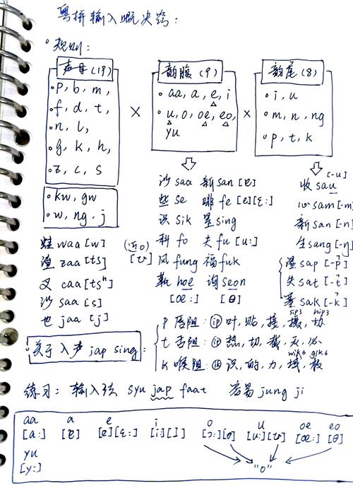 学会网络用语,从零开始的指南
