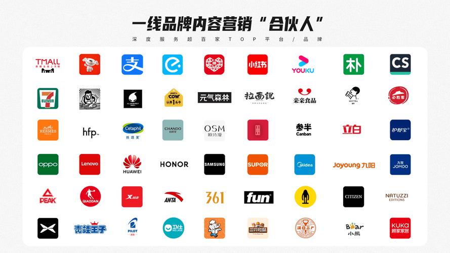 精湛的网络推广软件,让您的品牌快速崛起