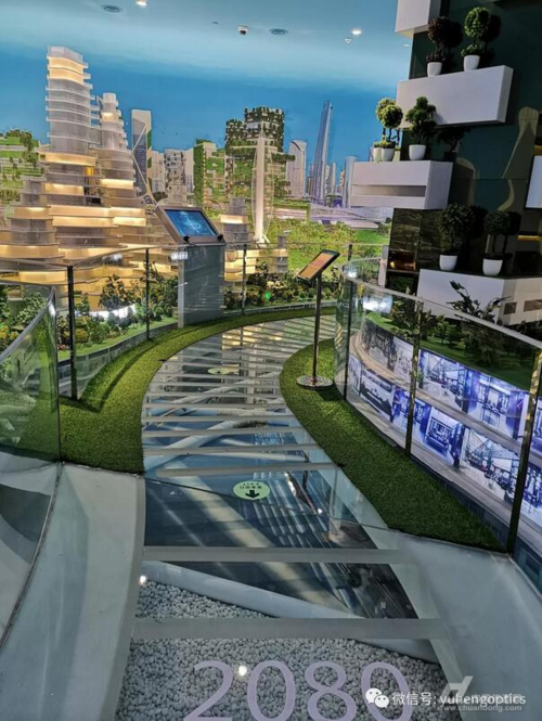 禹含网络，成功案例与未来展望