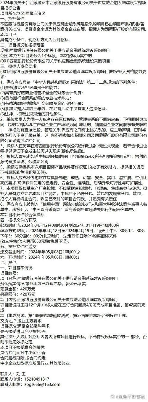 西藏网络公司，机遇与未来