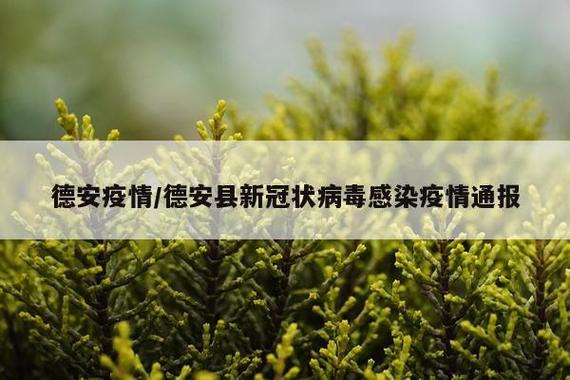 德安疫情最新消息