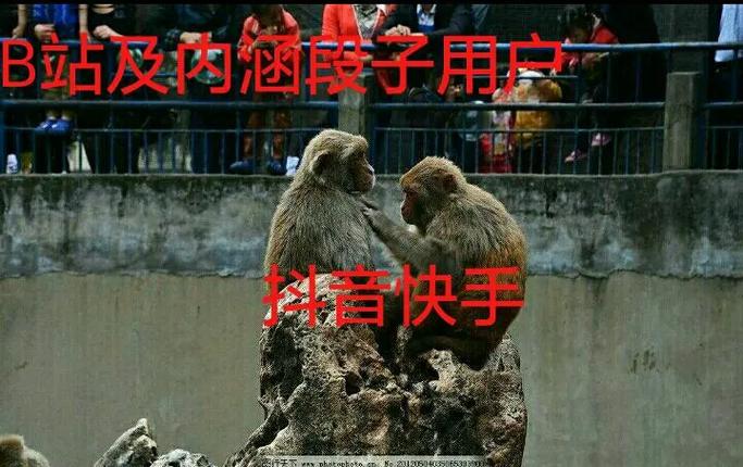快手、抖音、Ks平台，如何避免代沟？一文讲尽真相！