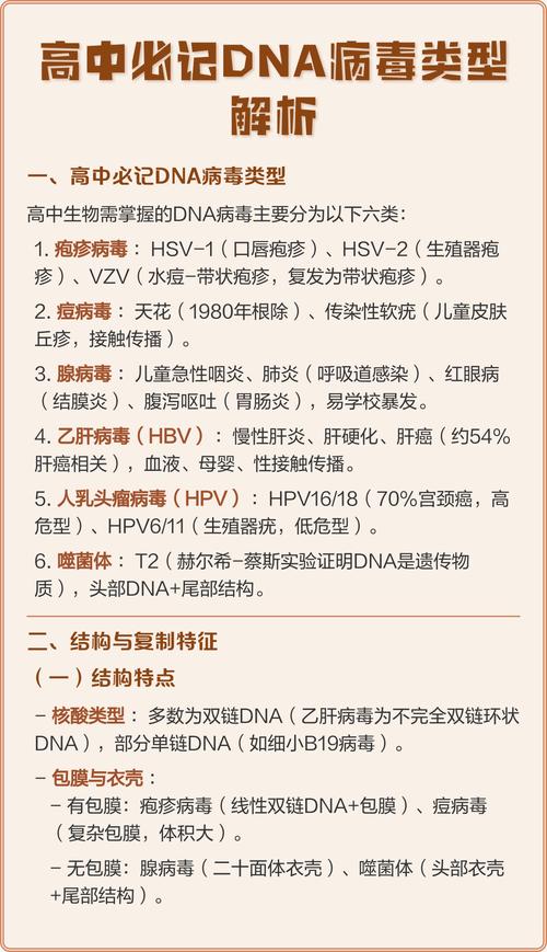一、病毒的基本类型和来源
