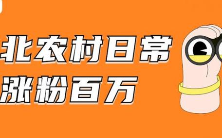 一、理解粉自助业务和免费播放量的含义