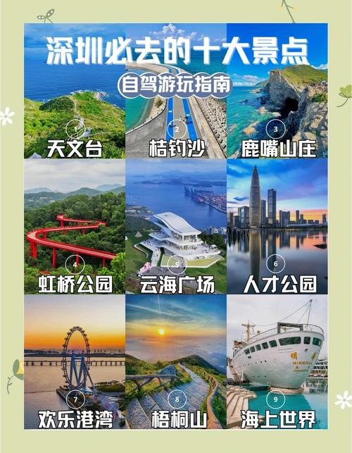 深圳网络推荐，你认为哪个平台最值得推荐？