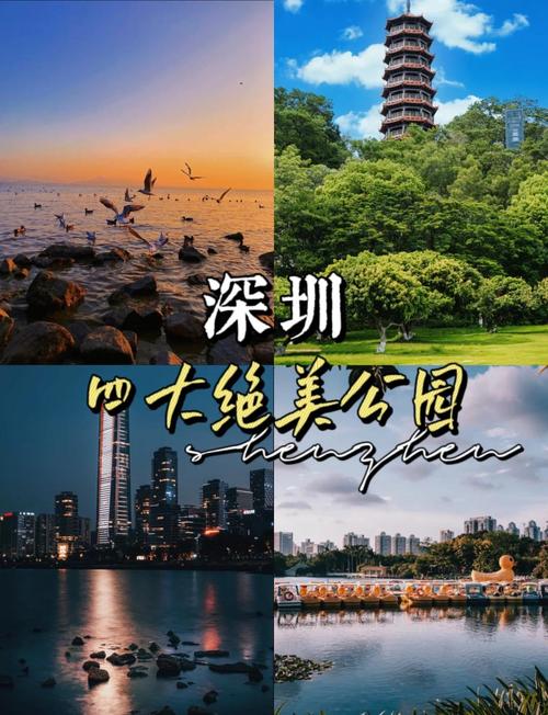 深圳网络推荐,你认为哪个平台最值得推荐?