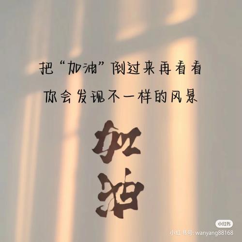 带网,免费,你真的需要吗?