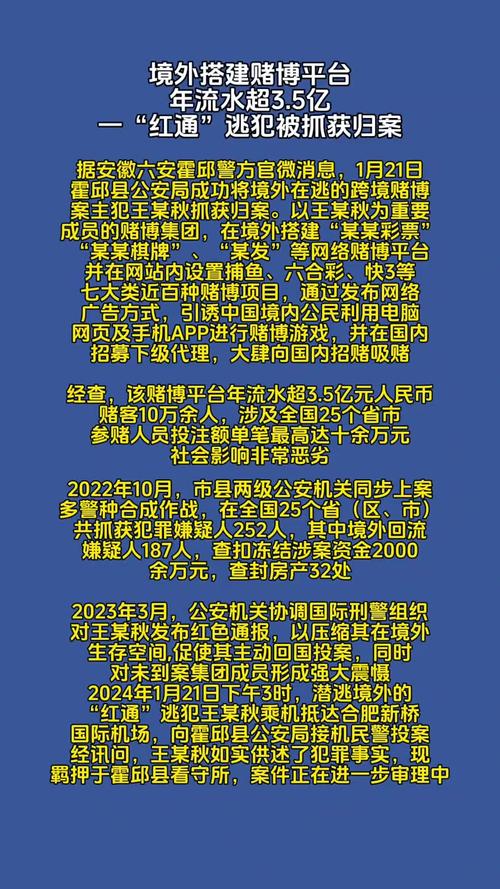 堵博建站必看指南