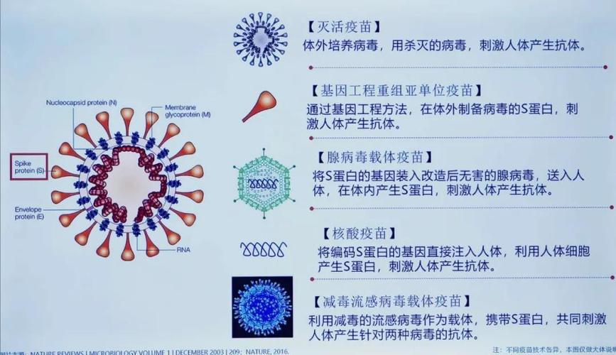 疫情最新消息，疫苗研究的未来