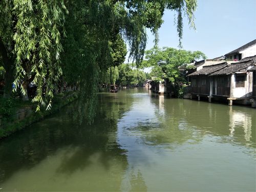 乌镇与舟山，疫情新动向