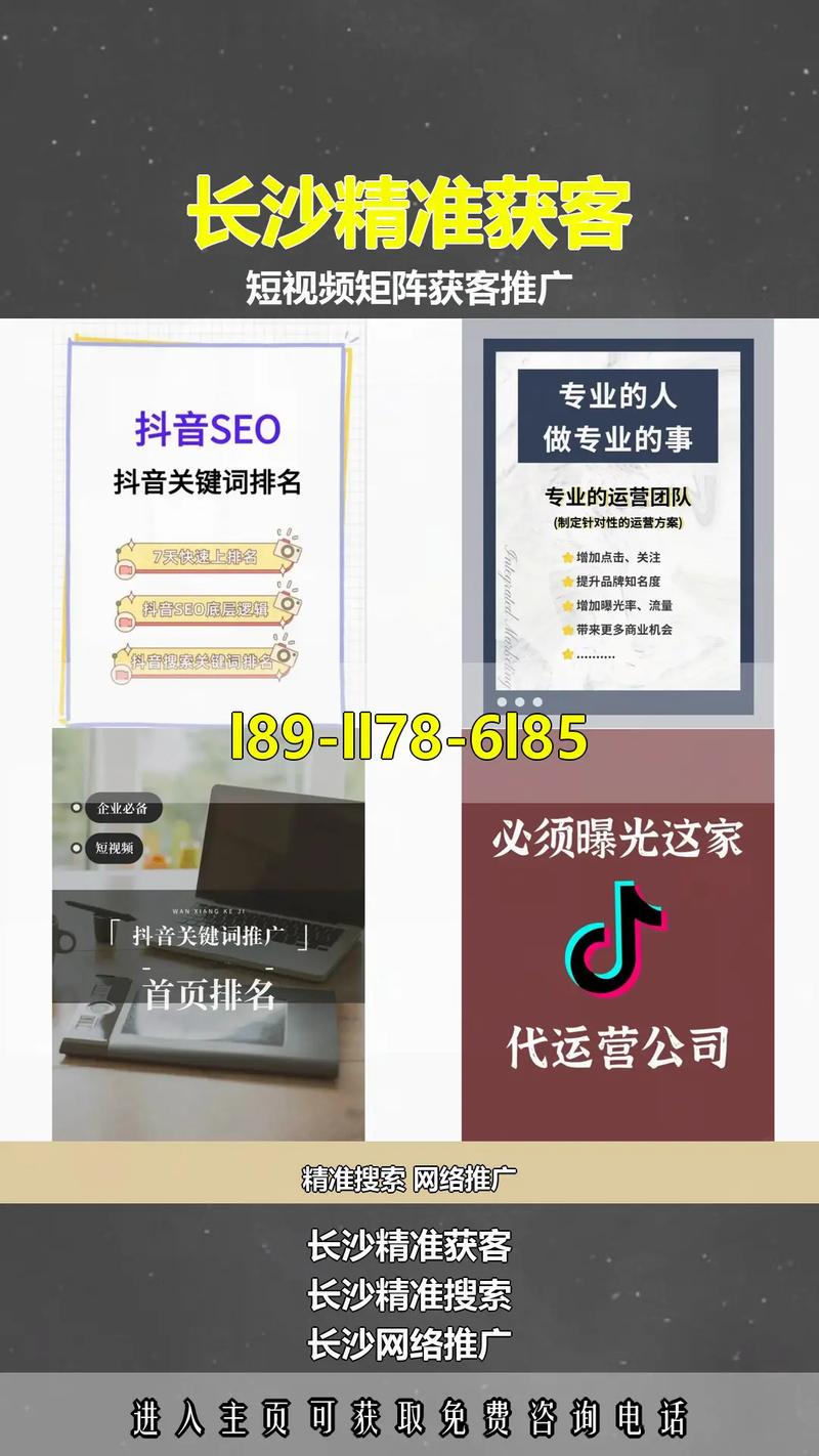 抖音赞,ks业务代作品与ks高人气软件的精准推广之道