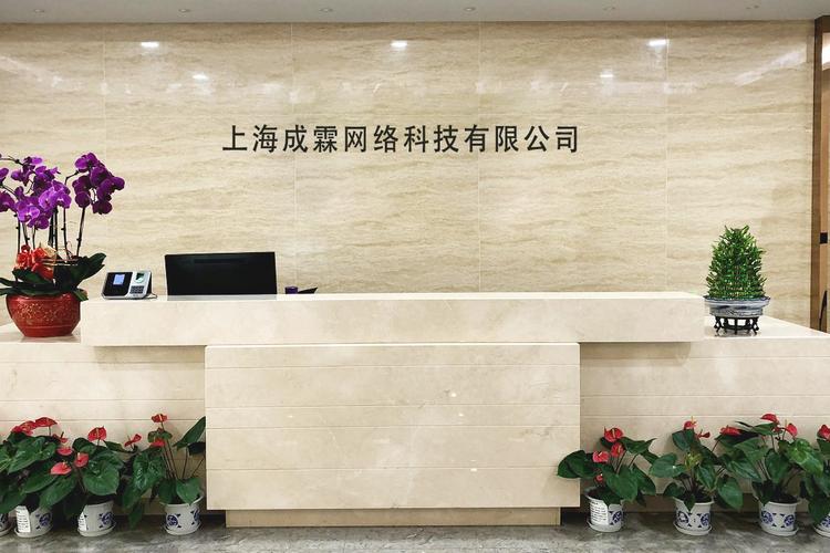 上海最网络公司,选择网络公司,开启你的未来