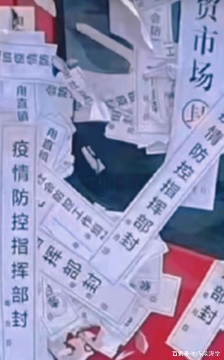洋浦疫情,最新封条消息解析