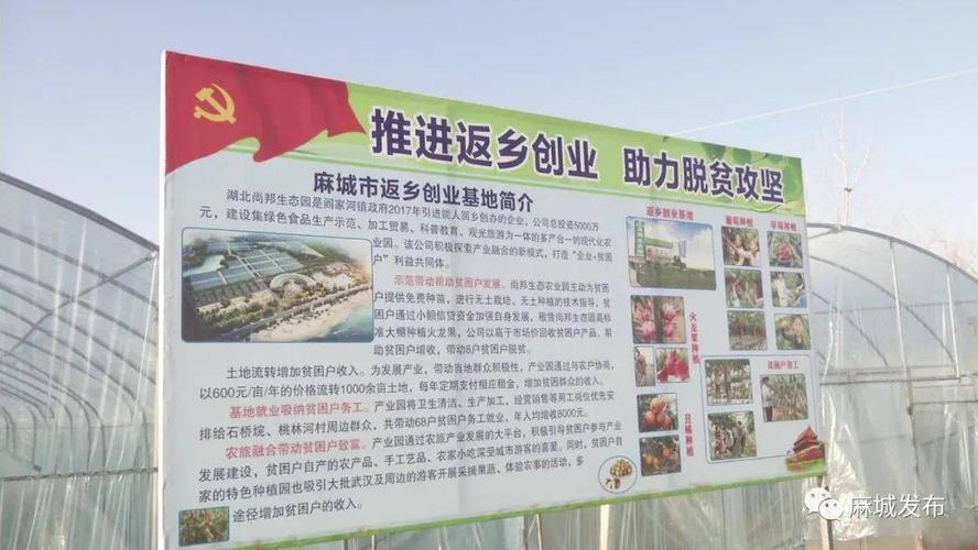 麻城正规网站建设指南