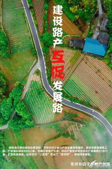 政府网站建设,从起点到终点的思考