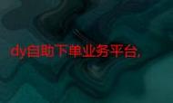 然后是Dy免费业务平台，这是Dy公司的一个免费业务平台，提供了一些基本的功能和资源，帮助用户更好地进行业务开发和运营。Dy公司提供了一些免费的工具和资源，帮助用户快速上手，从而更好地进行业务开发