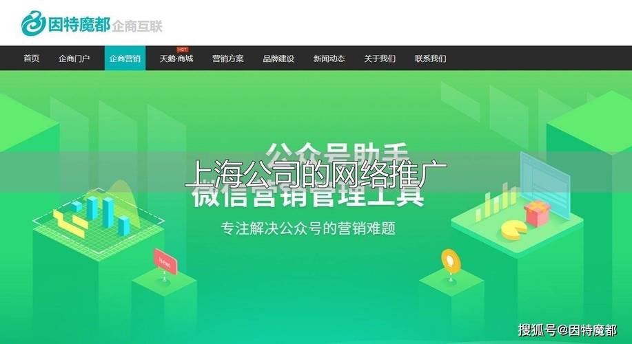 上海网络公司,成为网络流量的首选