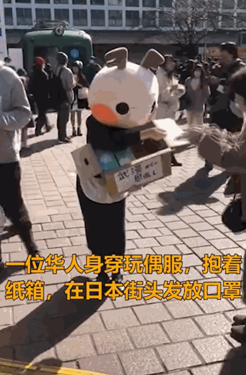 日本疫情最新动态，防控措施与社会反响