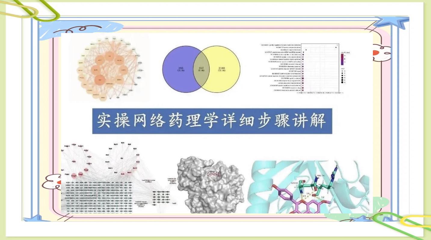 药材网技术指南,让数据分析与精准营销更上一层楼