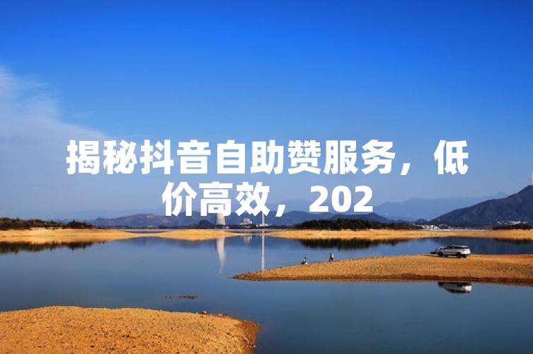 投资建议,如何高效利用抖音赞自助下单进行销售