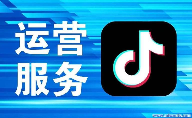 如何高效利用抖音秒刷助手和代刷渠道,助力内容运营
