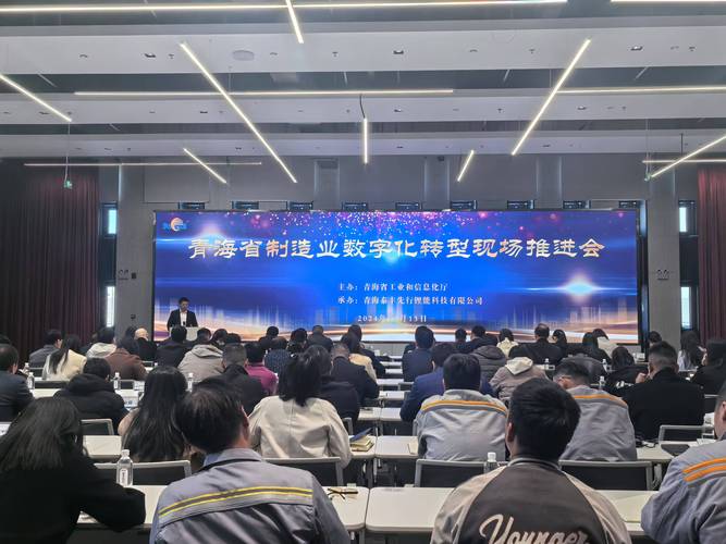 青海企业的网络优化,开启数字化增长的新篇章